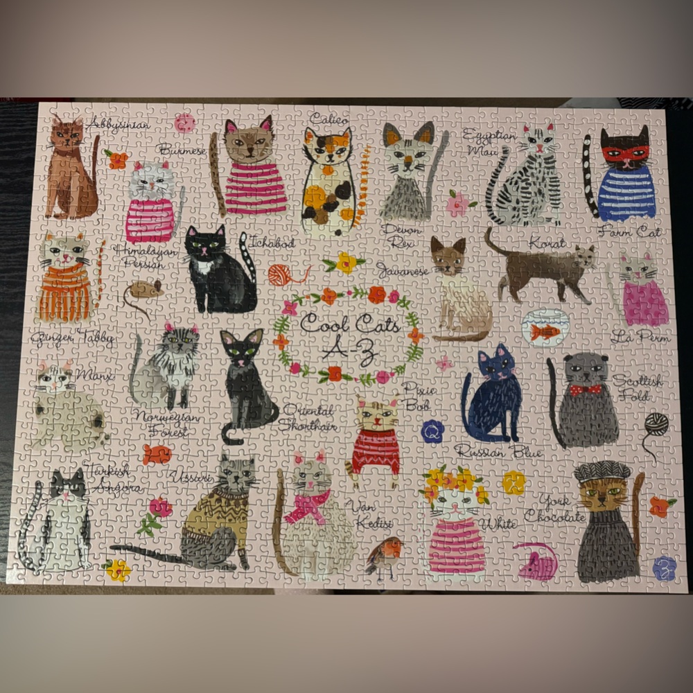Mudpuppy Cool cats A-Z 1000 piece puzzler